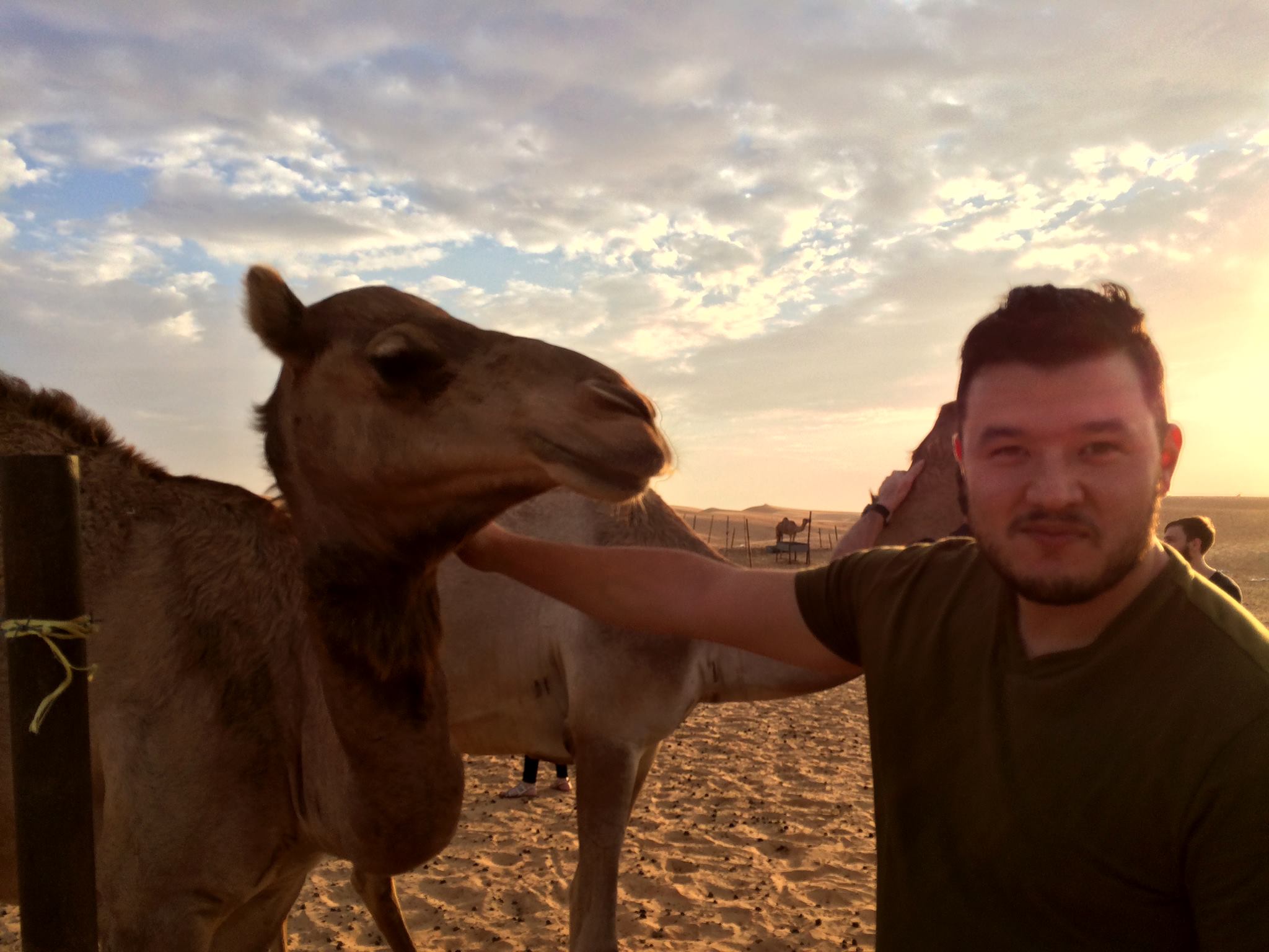 picture with a camel